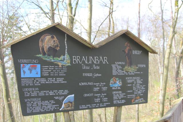 Wildpark Bad Mergentheim🐾🐻😍 | Foto: Ralf Röser