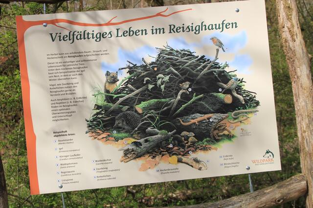 Wildpark Bad Mergentheim🐾🐻😍 | Foto: Ralf Röser