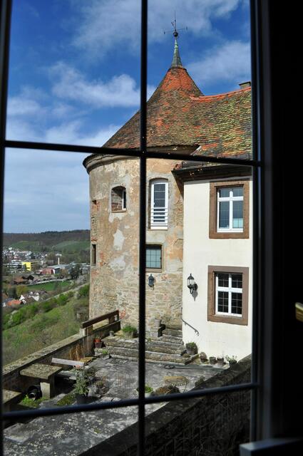 Und zwischendurch auch immer mal wieder einen Blick nach draußen. | Foto: Daniela Somers