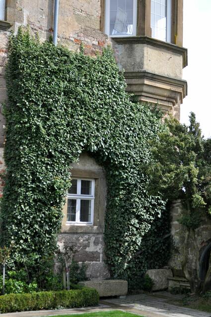 Und das eine oder andere Bild zu fotografieren. | Foto: Daniela Somers