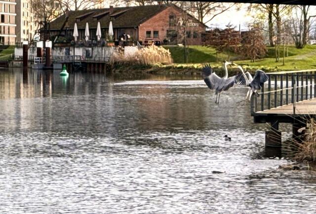 Foto: Heide Böllinger aus Bad Friedrichshall