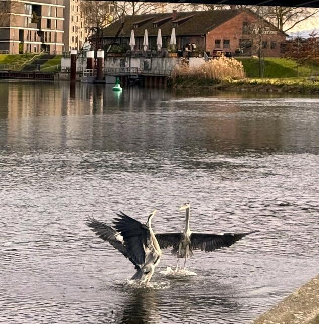 Foto: Heide Böllinger aus Bad Friedrichshall