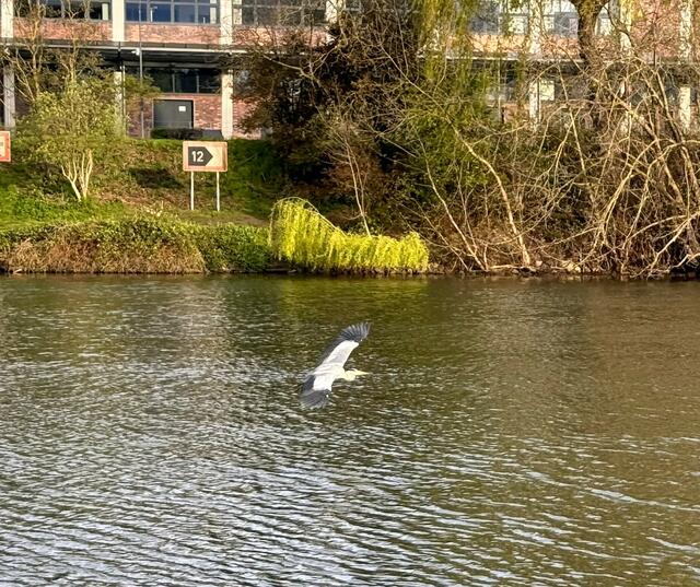 Foto: Heide Böllinger aus Bad Friedrichshall