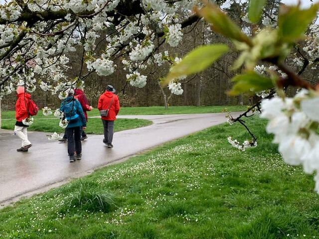 Immer wieder neu Perspektiven  | Foto: E. Rosendorf