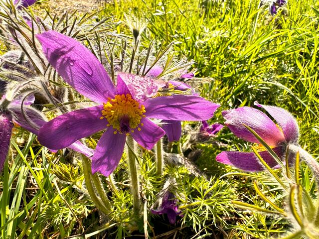 Foto: Heide Böllinger aus Bad Friedrichshall