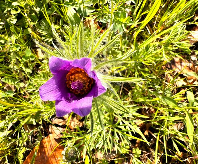 Foto: Heide Böllinger aus Bad Friedrichshall
