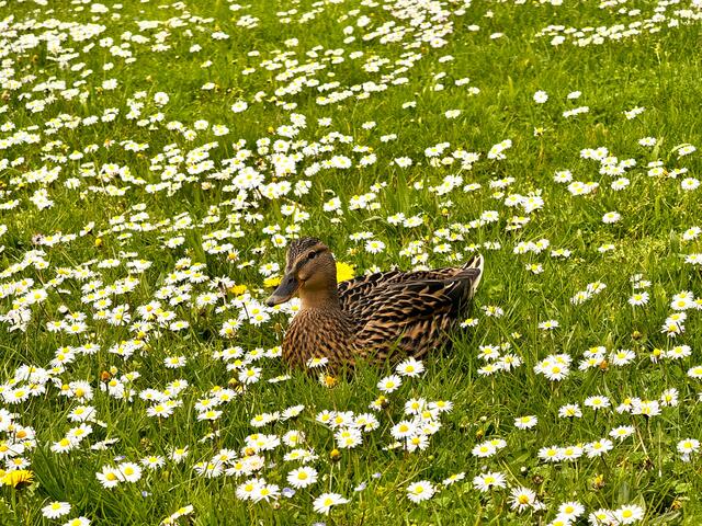 Foto: Heide Böllinger aus Bad Friedrichshall