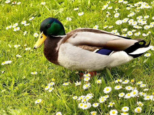 Foto: Heide Böllinger aus Bad Friedrichshall