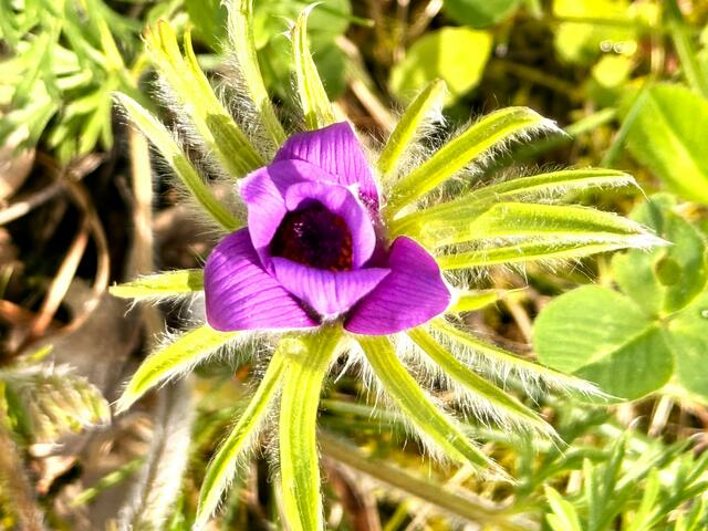 Foto: Heide Böllinger aus Bad Friedrichshall
