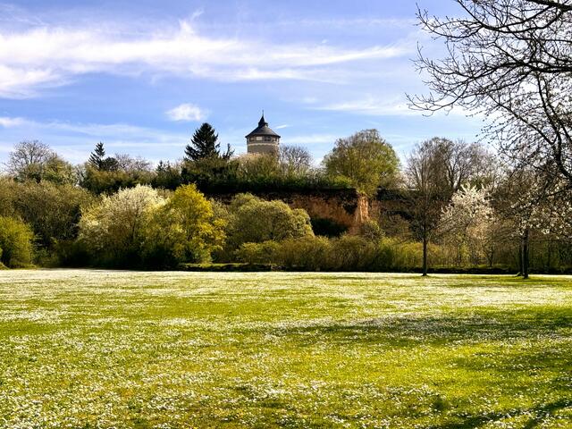 Foto: Heide Böllinger aus Bad Friedrichshall