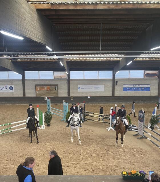 Foto: Reiterverein Heilbronn e.V.