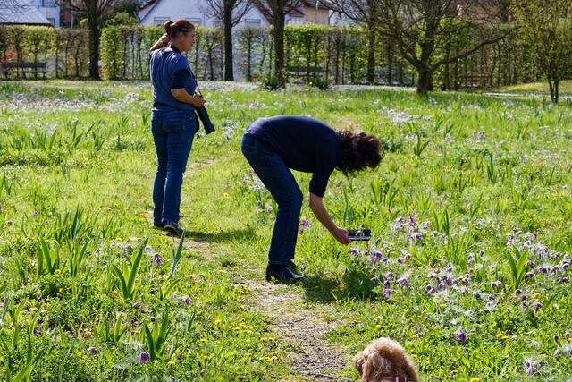 Emilie wundert sich was Frauchen da treibt  | Foto: WKY