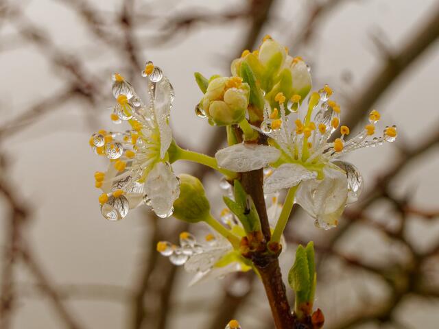 Foto: Eigenes Bild TB