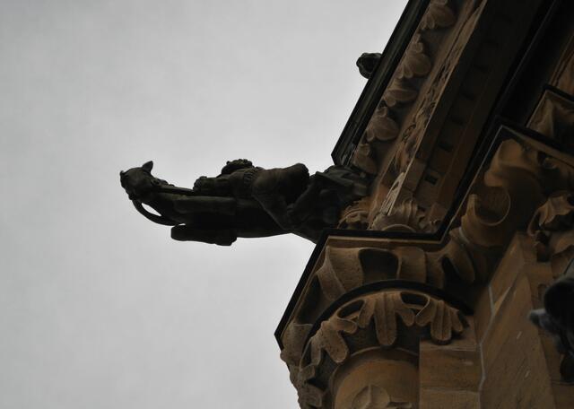 Fällt hier ein Reiter vom Pferd? | Foto: Daniela Somers