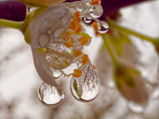 Foto: Eigenes Bild TB