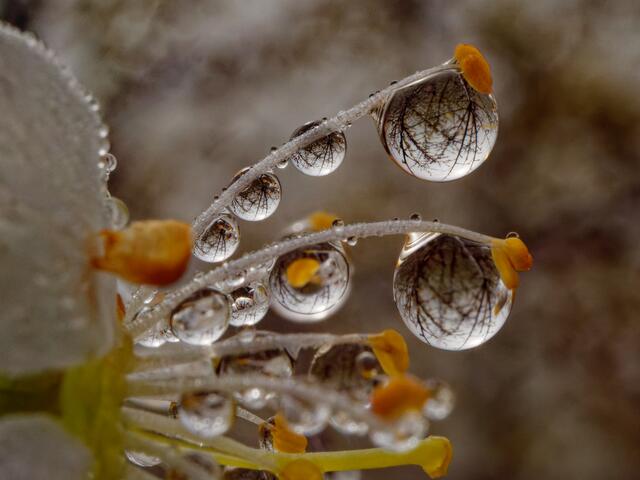 Foto: Eigenes Bild TB