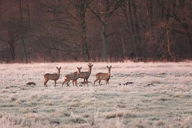 Foto: Uschi Dugulin