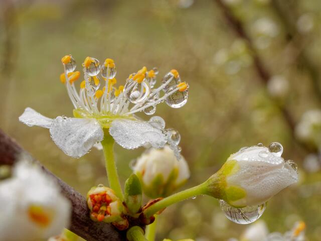 Foto: Eigenes Bild TB