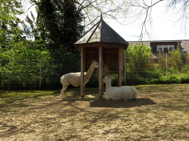 Beim Tiergehege betraten wir den Hofgarten | Foto: WandernGabyErich