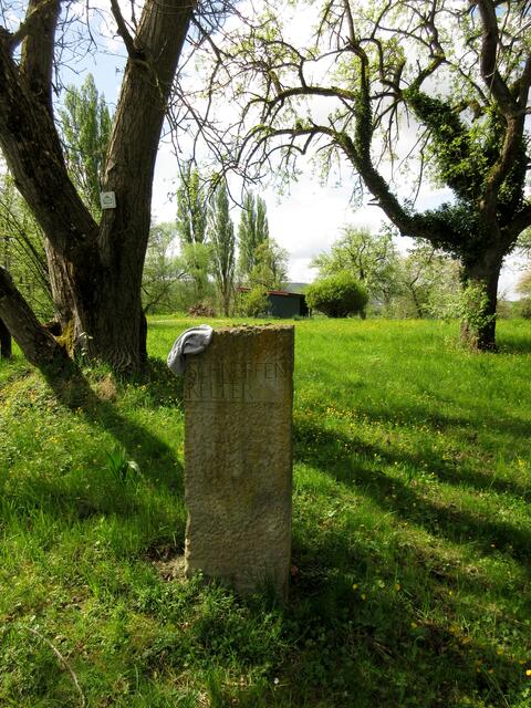 Einen großen Anteil an der Tour machte auch der Keltern Weg aus | Foto: WandernGabyErich