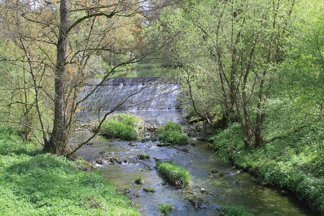 Gronach | Foto: Ralf Röser