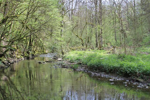 Gronach | Foto: Ralf Röser