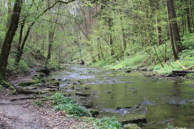 und weiter | Foto: Ralf Röser