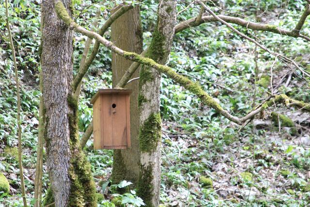 cool | Foto: Ralf Röser