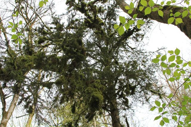 voller Moos😍 | Foto: Ralf Röser