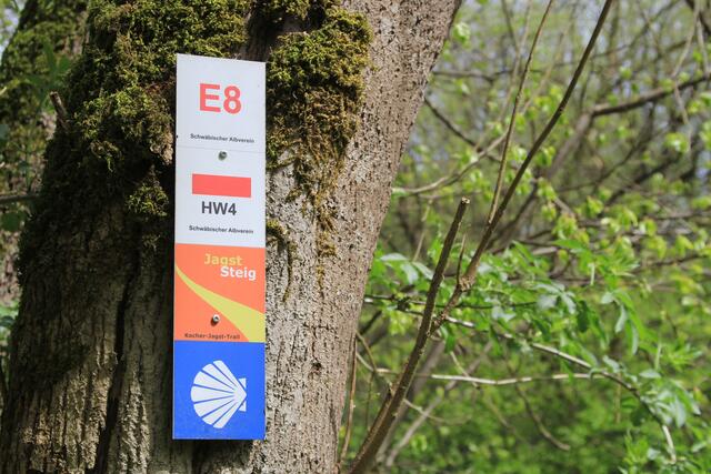 Info | Foto: Ralf Röser