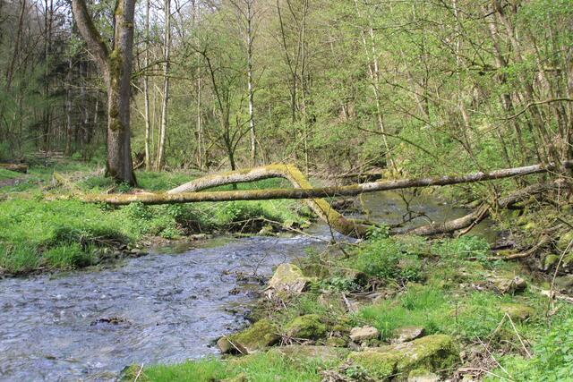 cool | Foto: Ralf Röser