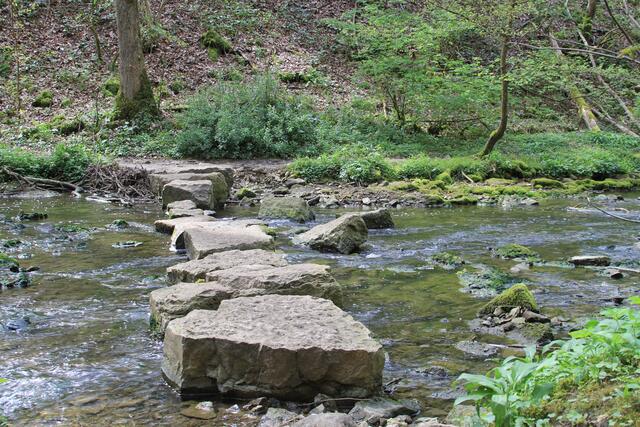 da rüber | Foto: Ralf Röser