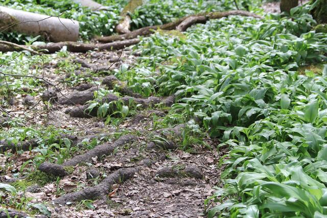 cool | Foto: Ralf Röser