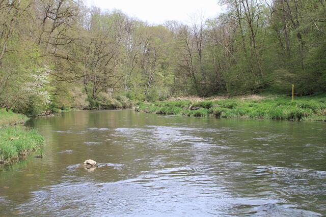 Jagst | Foto: Ralf Röser