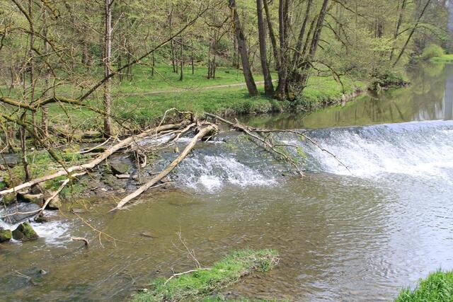 Jagst | Foto: Ralf Röser