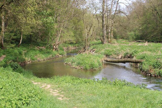 da links weiter | Foto: Ralf Röser