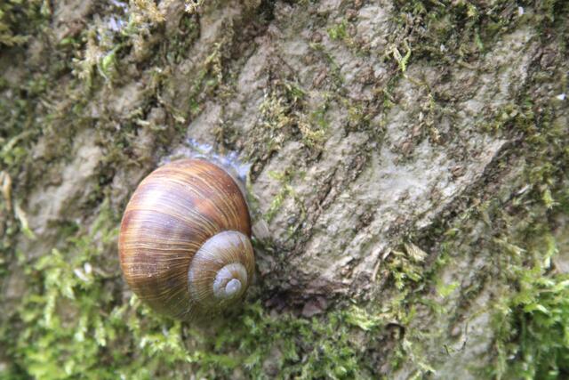 angedockt | Foto: Ralf Röser