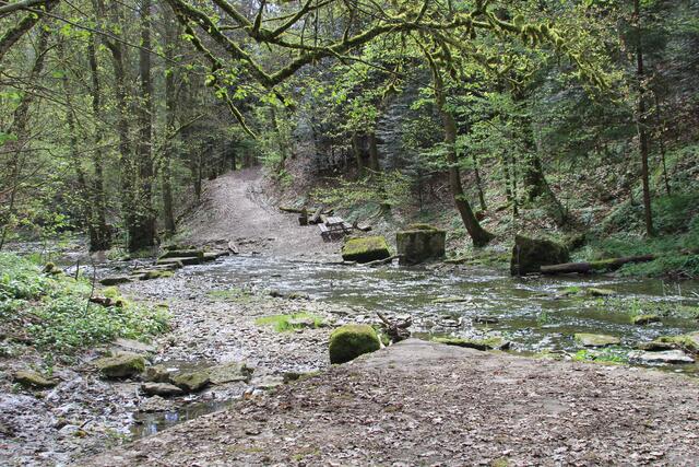 da rüber und Päusle | Foto: Ralf Röser