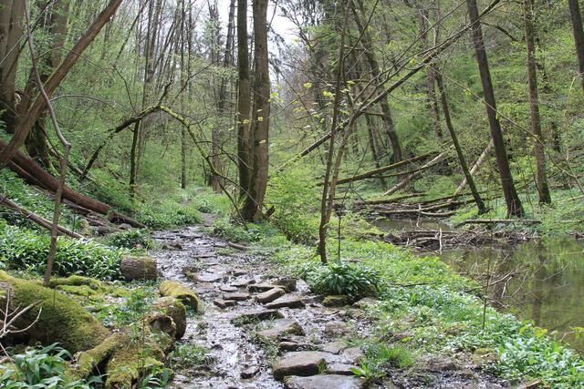 da lang | Foto: Ralf Röser