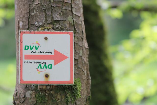 Info | Foto: Ralf Röser