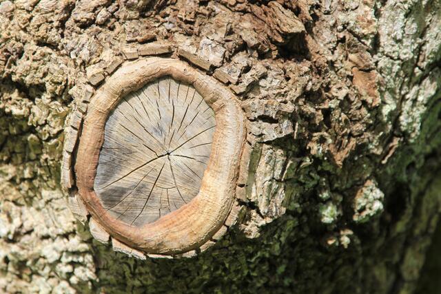 wow | Foto: Ralf Röser