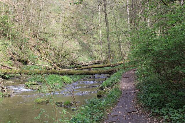 einfach schön | Foto: Ralf Röser