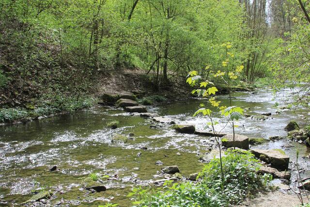 da rüber | Foto: Ralf Röser