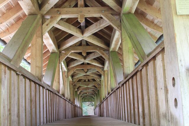 wow | Foto: Ralf Röser