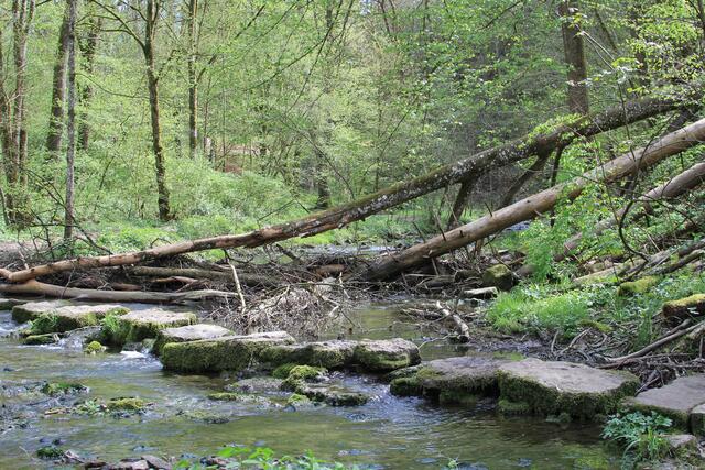 da rüber | Foto: Ralf Röser