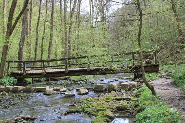 Blick zurück | Foto: Ralf Röser