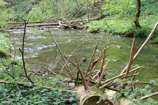 wow | Foto: Ralf Röser