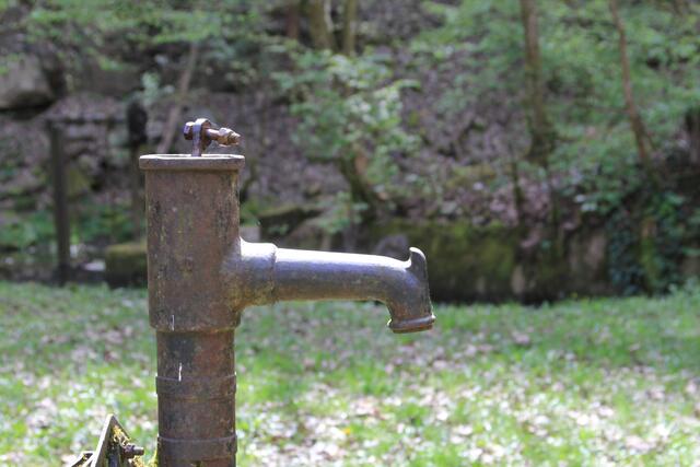 schee | Foto: Ralf Röser