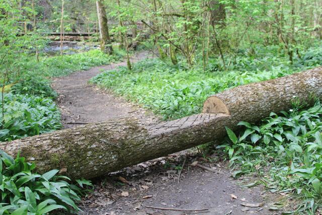 da rüber, schön ausgeschnitten | Foto: Ralf Röser