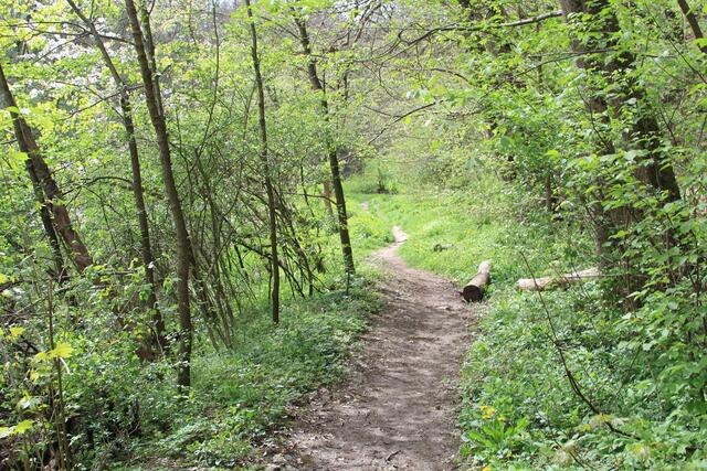 da lang | Foto: Ralf Röser